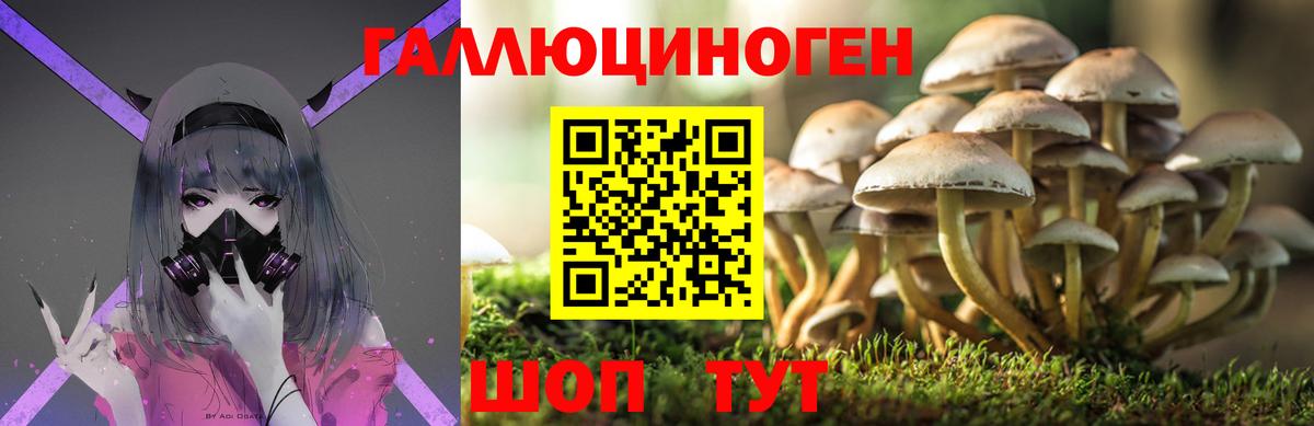 Галлюциногенные грибы мицелий  Вход с VPN  Назрань 
